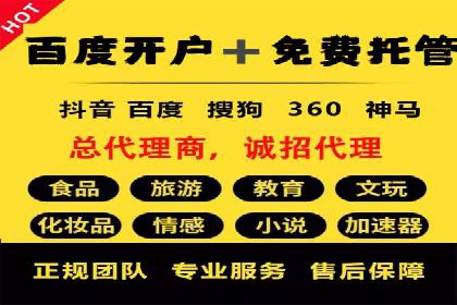 深度解析：SEM竞价优化提升ROI的案例